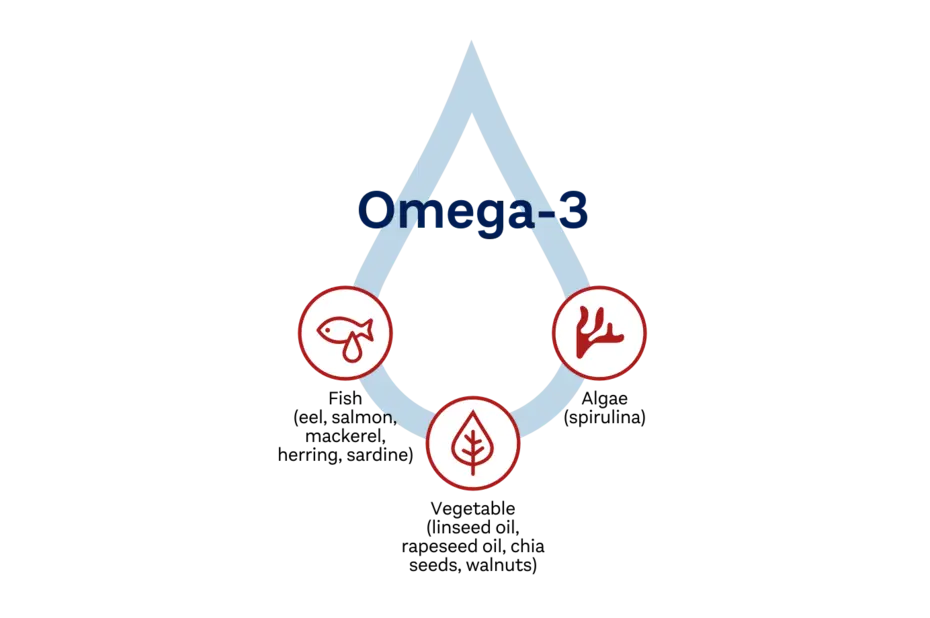 An infographic illustrating Omega-3 sources. The central focus is a blue droplet labeled "Omega-3." Icons around the droplet depict a fish, a plant leaf, and coral, representing different sources of Omega-3 fatty acids.