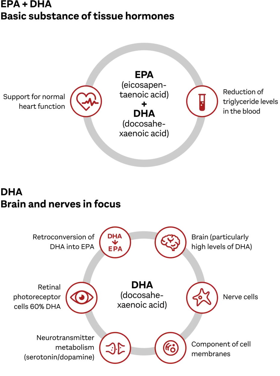 The image features two circular diagrams. The top circle highlights health-related icons, including a heartbeat, a test tube, and others, while the bottom circle focuses on DHA and EPA's benefits, including brain health, vision, and sound. Each icon represents a distinct health aspect or benefit.