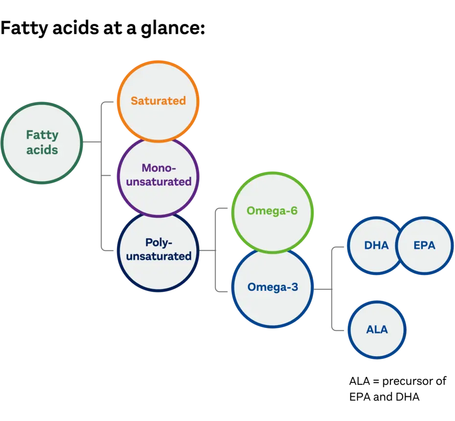 A diagram categorizing fatty acids into three main types: saturated, monounsaturated, and polyunsaturated. The polyunsaturated category divides further into Omega-6 and Omega-3, with Omega-3 branching into DHA, EPA, and ALA.